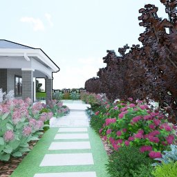 Ogrodowe Aranże-Projektowanie ogrodów, tarasów - Wizualizacja ogrodu przydomowego z kwitnącymi hortensjami, ozdobnymi trawami i ścieżką z płyt betonowych.