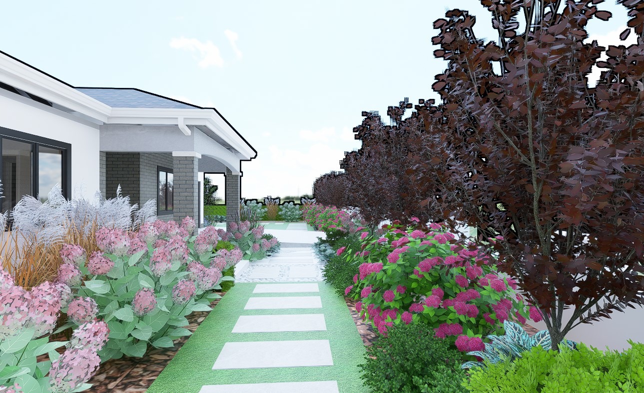 Wizualizacja ogrodu przydomowego z kwitnącymi hortensjami, ozdobnymi trawami i ścieżką z płyt betonowych.