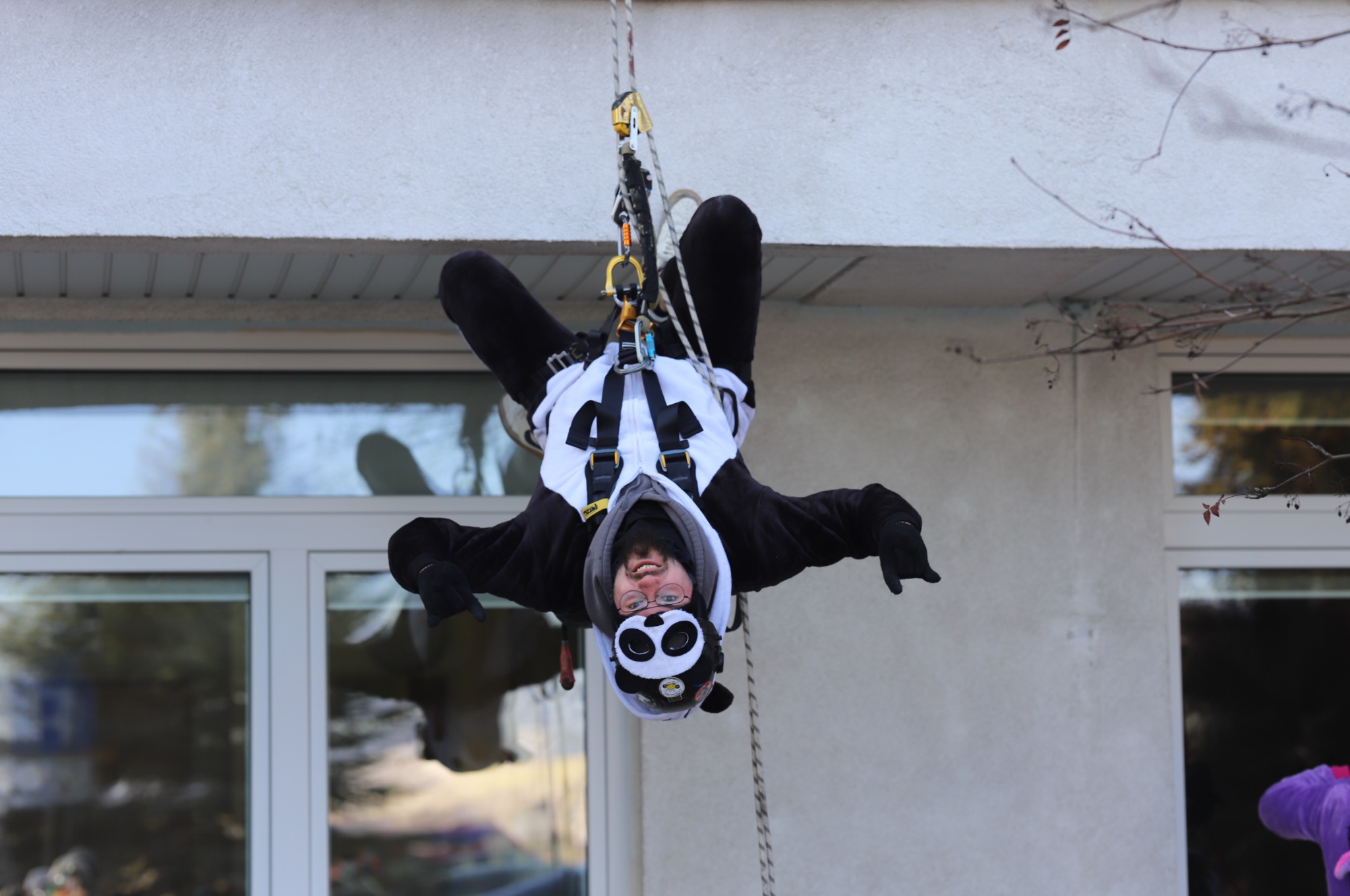 Pracownik w kostiumie pandy, na linach, prezentuje prace wysokościowe w Gliwicach. Nietypowy ubiór, uśmiech i sprzęt asekuracyjny. Okno w tle.