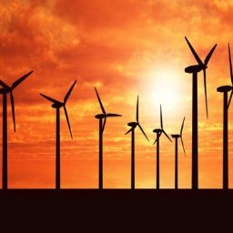 Raccoon services - instalacja wiatrowe swietnie uzupełninie fotowoltaiki