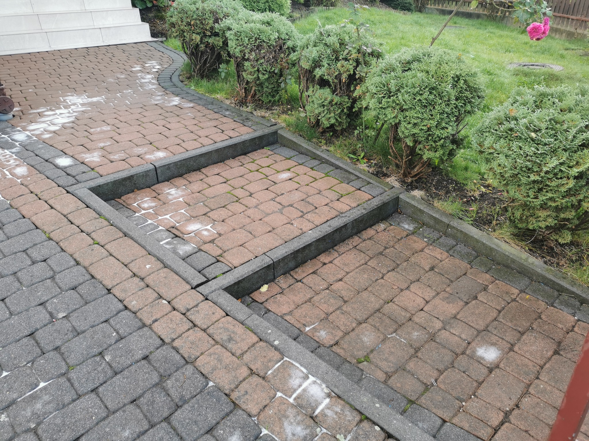 Fragment chodnika z kostki brukowej, częściowo wyczyszczonej, z widocznymi plamami po czyszczeniu, otoczonego zielenią i niskimi krzewami.