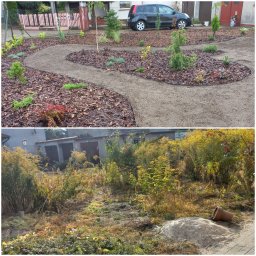 TWÓJ OGRODNIK - USŁUGI OGRODNICZE Robert Dworczak - Porównanie: ogród przed i po metamorfozie. Górny kadr ukazuje świeżo założony ogród z krętą ścieżką wysypaną żwirem, rabaty z korą i młodymi roślinami. Dolny kadr prezentuje zaniedbany teren...