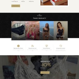 Tworzenie stron internetowych Zgierz 3