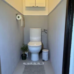 Wąska łazienka po remoncie z toaletą, szafką wiszącą nad nią, dywanikiem z frędzlami, koszem na śmieci i rośliną w doniczce, ściany pomalowane na szaro z białym pasem u góry.