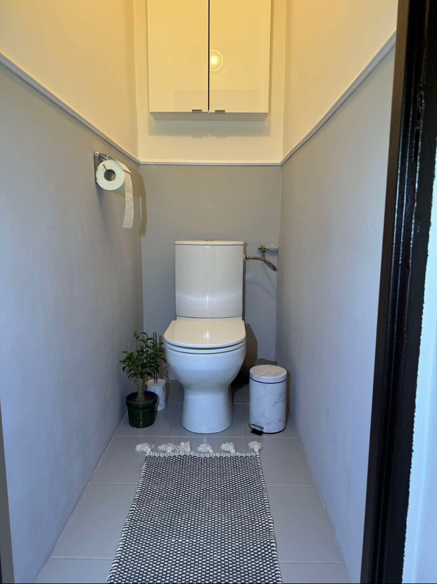 Wąska łazienka po remoncie z toaletą, szafką wiszącą nad nią, dywanikiem z frędzlami, koszem na śmieci i rośliną w doniczce, ściany pomalowane na szaro z białym pasem u góry.