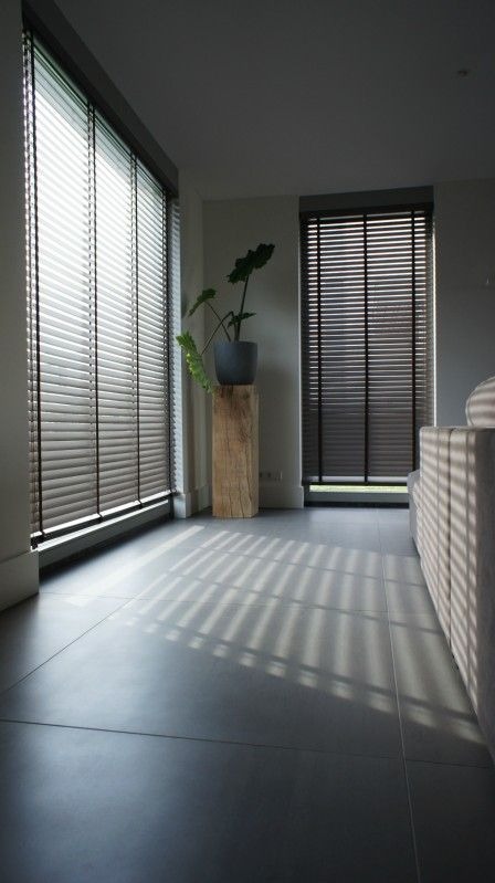 Nowoczesne wnętrze z dwoma oknami przesłoniętymi poziomymi osłonami okiennymi w odcieniach szarości, rzucającymi cienie na ciemnoszarą podłogę z płytek; roślina doniczkowa na drewnianym postumencie...
