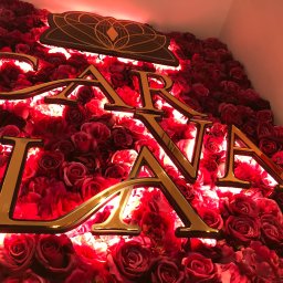 Litery Świecące do Tyłu