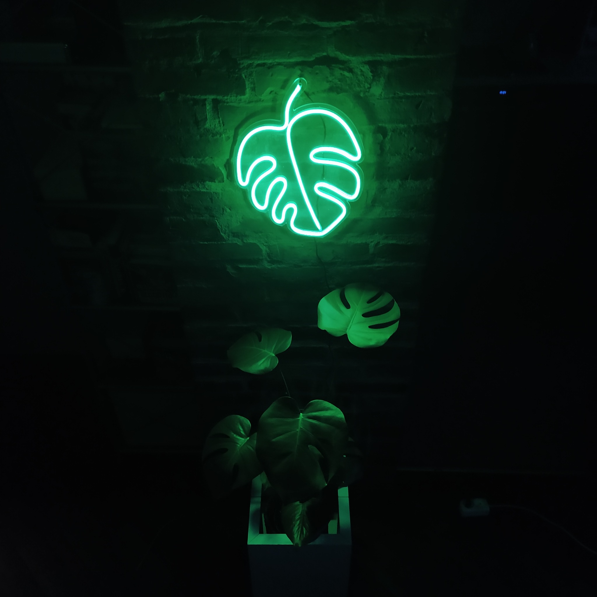 Świecący neon LED w kształcie liścia monstery, umieszczony na tle ceglanej ściany nad doniczką z prawdziwą monsterą, oświetlony zielonym światłem.