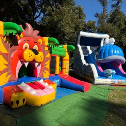 MAX-FUN Roksana Kaniewska - Wypożyczanie Dmuchańca Przemysław