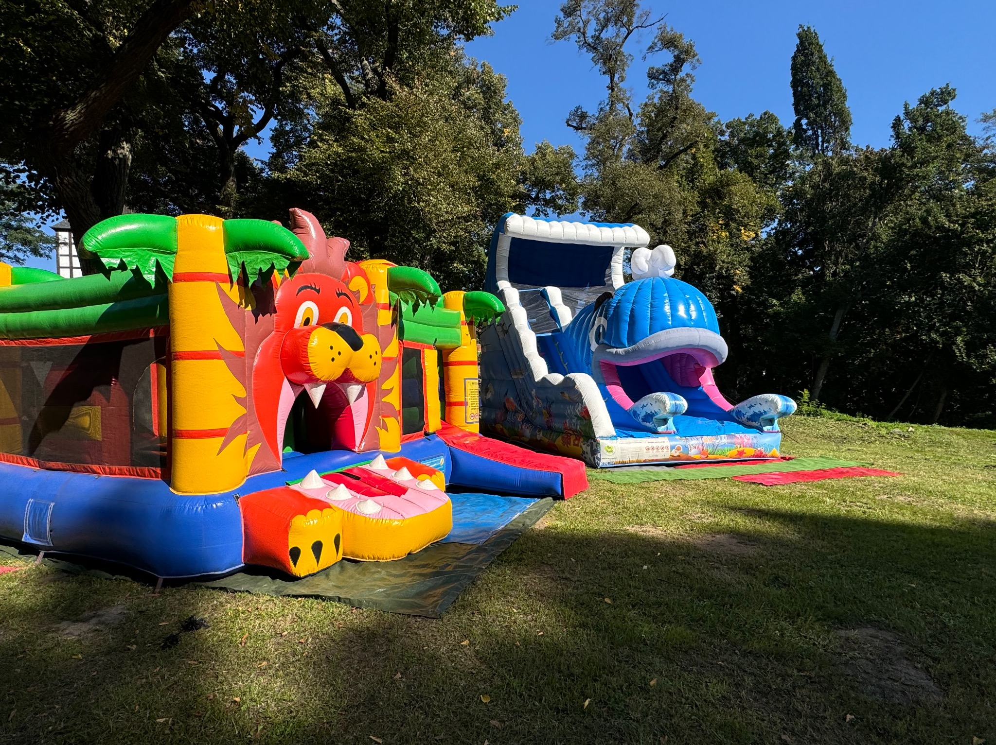 Dwa kolorowe dmuchane zamki na trawie: jeden z motywem lwa z otwartą paszczą, drugi z motywem wieloryba ze zjeżdżalnią.