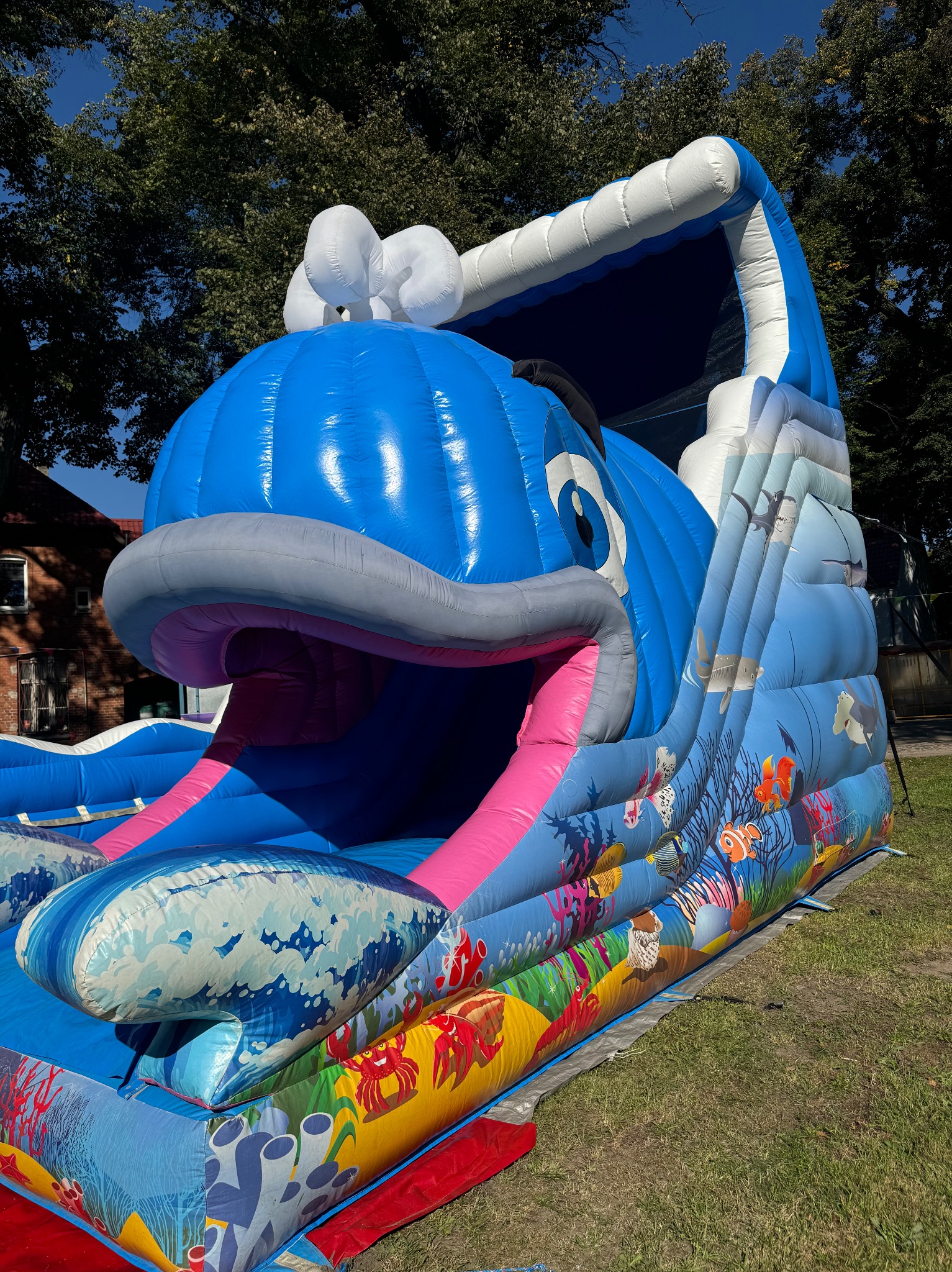 Nadmorski dmuchany plac zabaw w kształcie wieloryba z motywami raf koralowych i rekinów, ustawiony na trawie w słoneczny dzień.