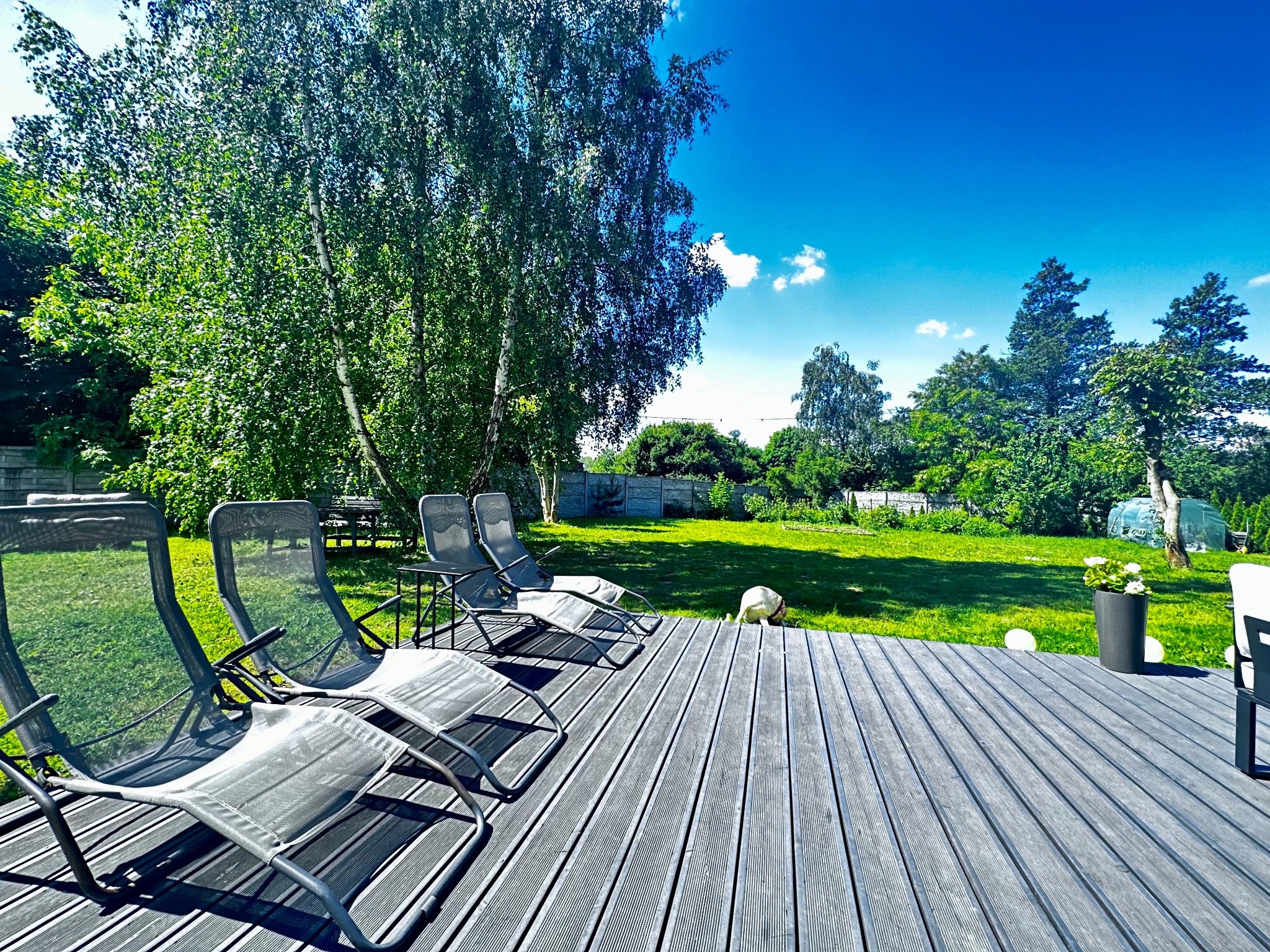 Szary taras z desek kompozytowych z leżakami i widokiem na ogród z drzewami w słoneczny dzień.