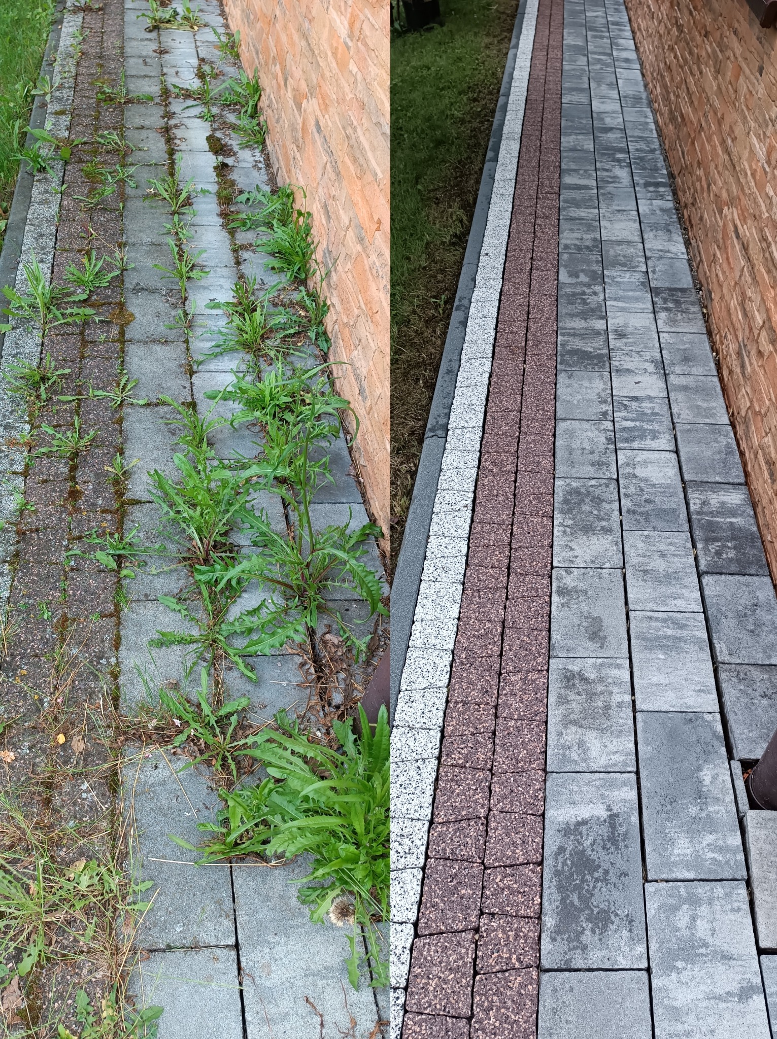 Porównanie stanu kostki brukowej przed i po czyszczeniu: część zarośnięta chwastami i mchem, część wyczyszczona z widoczną różnicą w kolorze i fakturze.