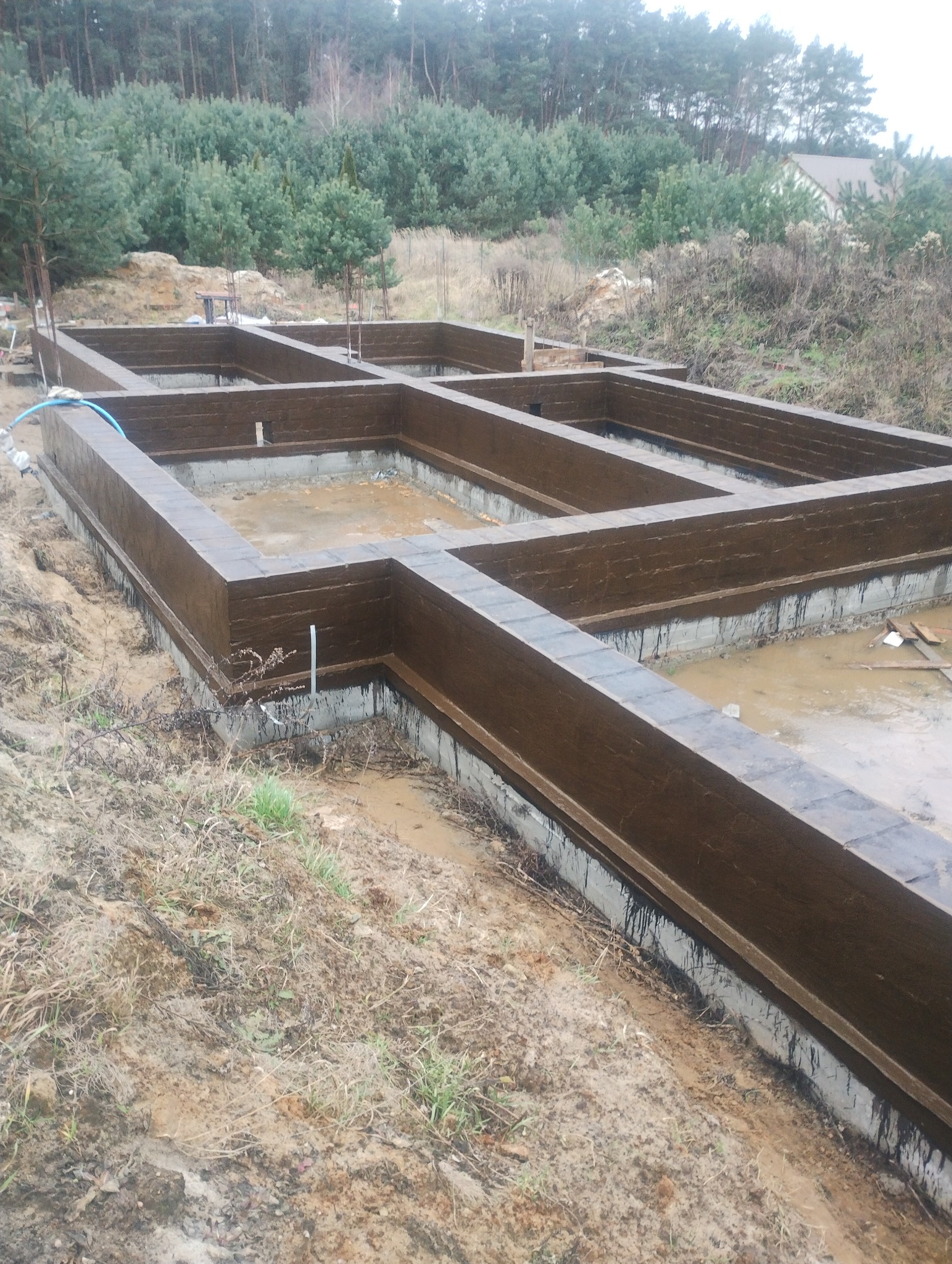 Zalane fundamenty domu jednorodzinnego z hydroizolacją, widoczne zbrojenia, teren budowy zalesiony w tle. Etap prac fundamentowych.