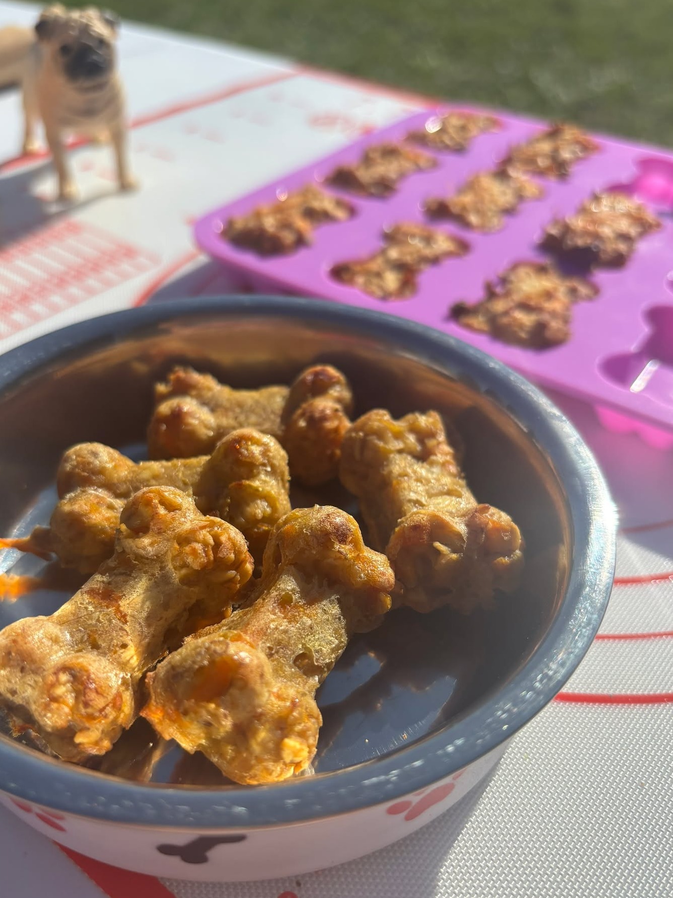 Warsztaty 'Psie chrupki'