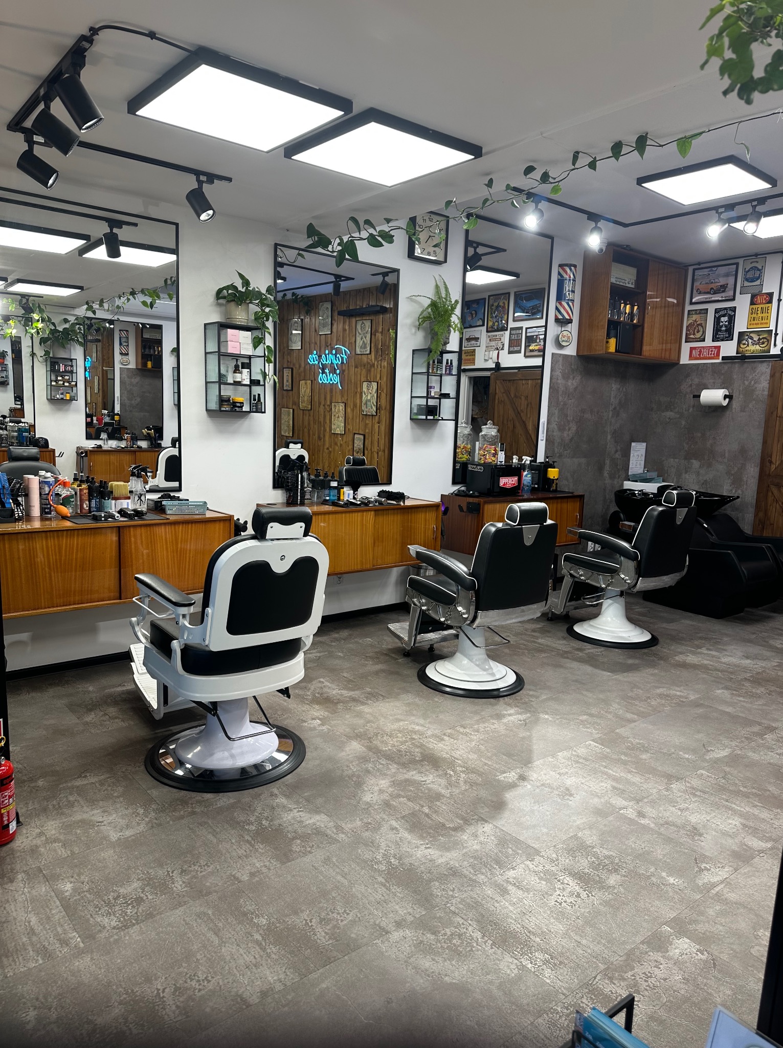 Retro stylizacja wnętrza barber shopu: trzy fotele fryzjerskie z białymi podstawami, drewniane szafki, rośliny pnące i plakaty. Całość w jasnej tonacji.
