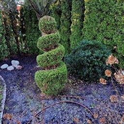 Sprzątanie mieszkań Jastrzębie-Zdrój 1