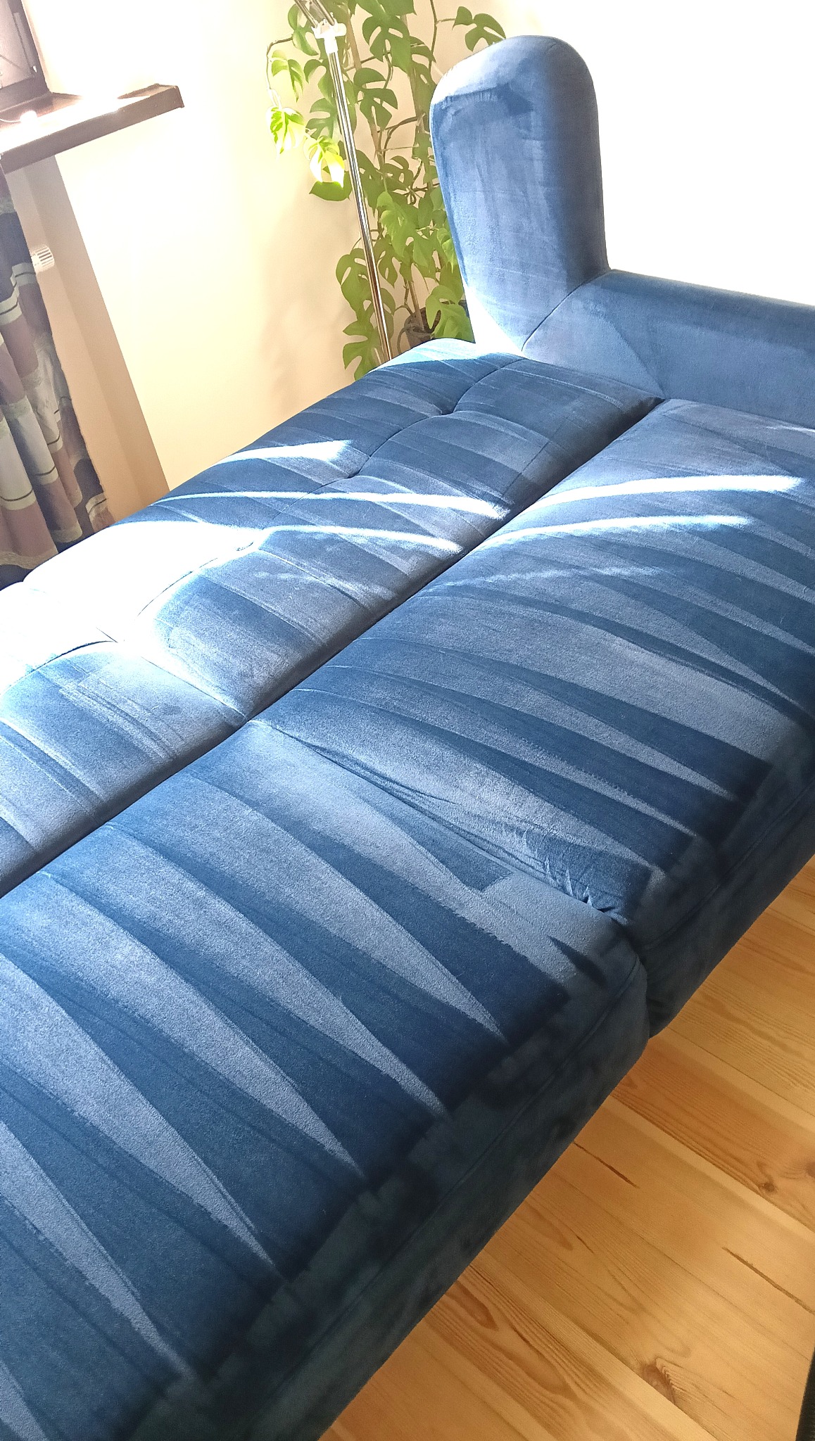 Niebieska, rozłożona kanapa z weluru w salonie, oświetlona promieniami słońca padającymi przez okno. Obok stoi roślina doniczkowa i lampa.