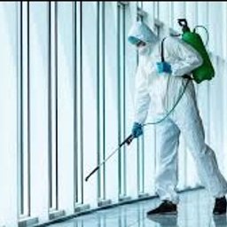 Dezynsekcja i deratyzacja Stalowa Wola 1