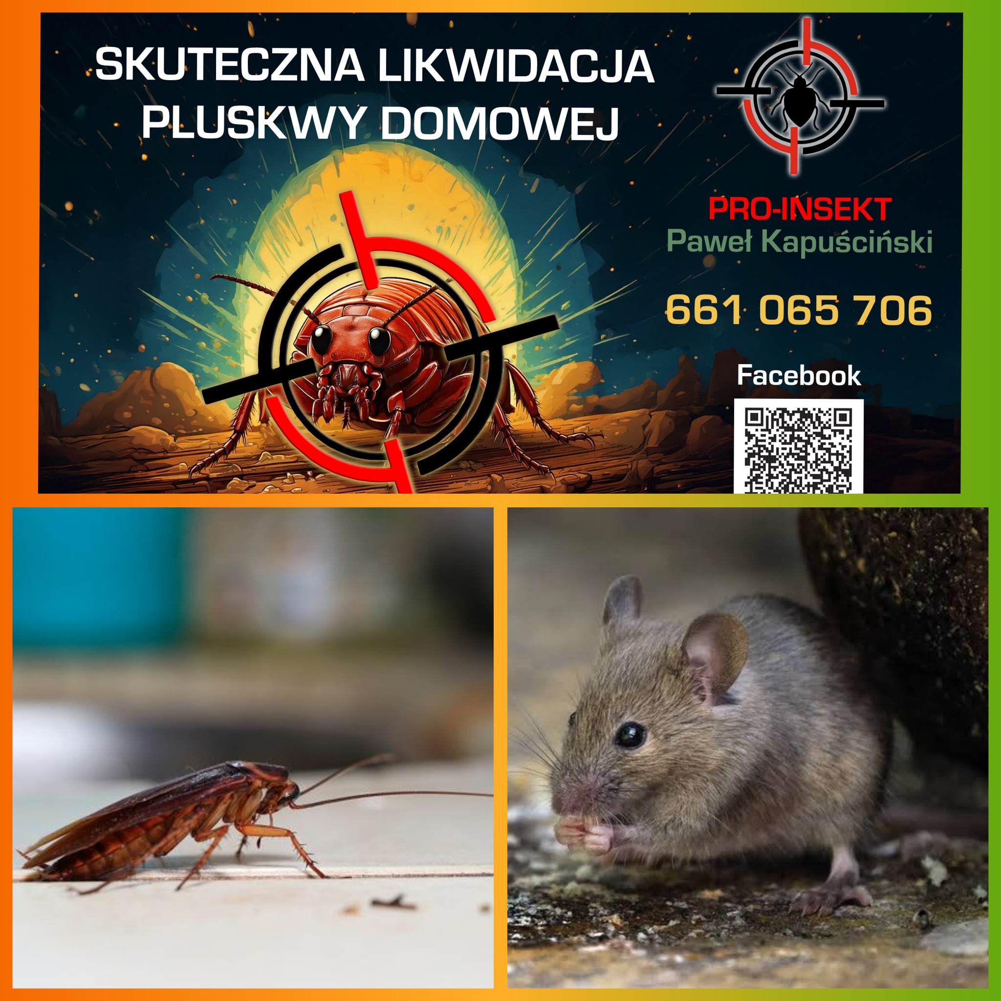 Grafika reklamowa firmy z branży zwalczania szkodników, prezentująca pluskwę w celowniku, karalucha na podłodze oraz mysz jedzącą ziarno, wraz z danymi kontaktowymi firmy.