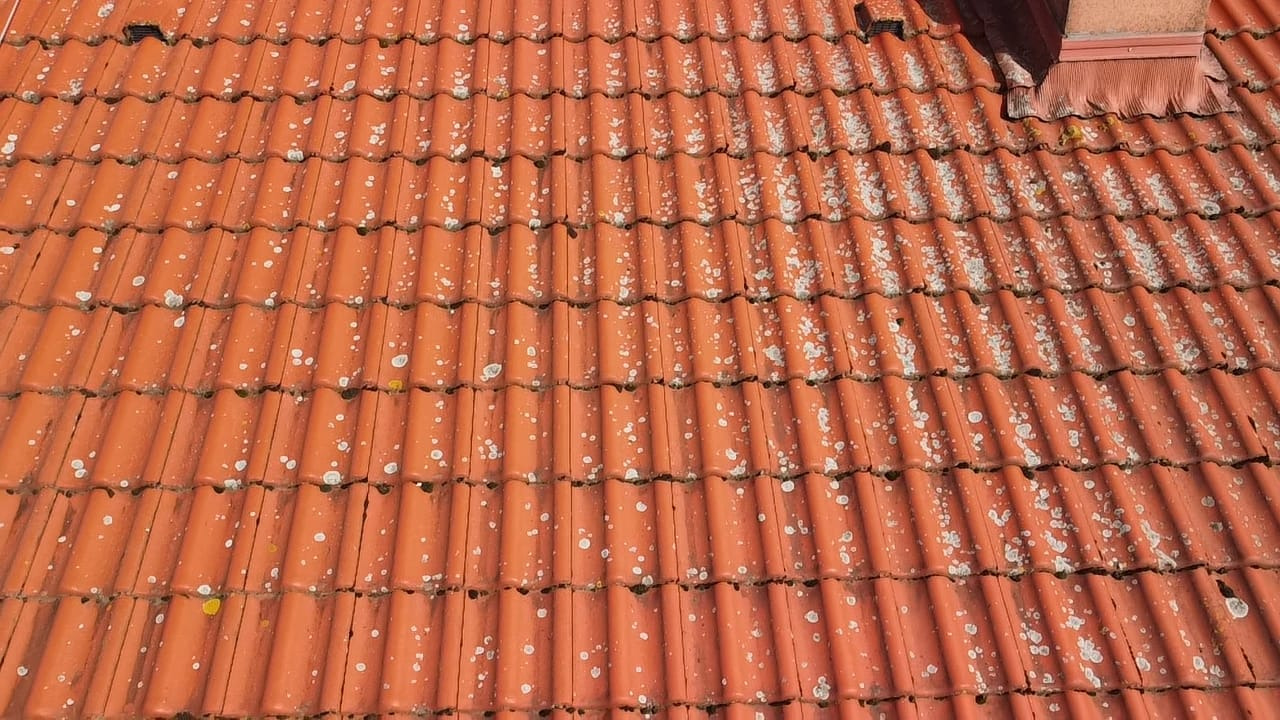 Czerwona dachówka ceramiczna pokryta białymi plamami mchu i porostów, widoczny fragment komina.