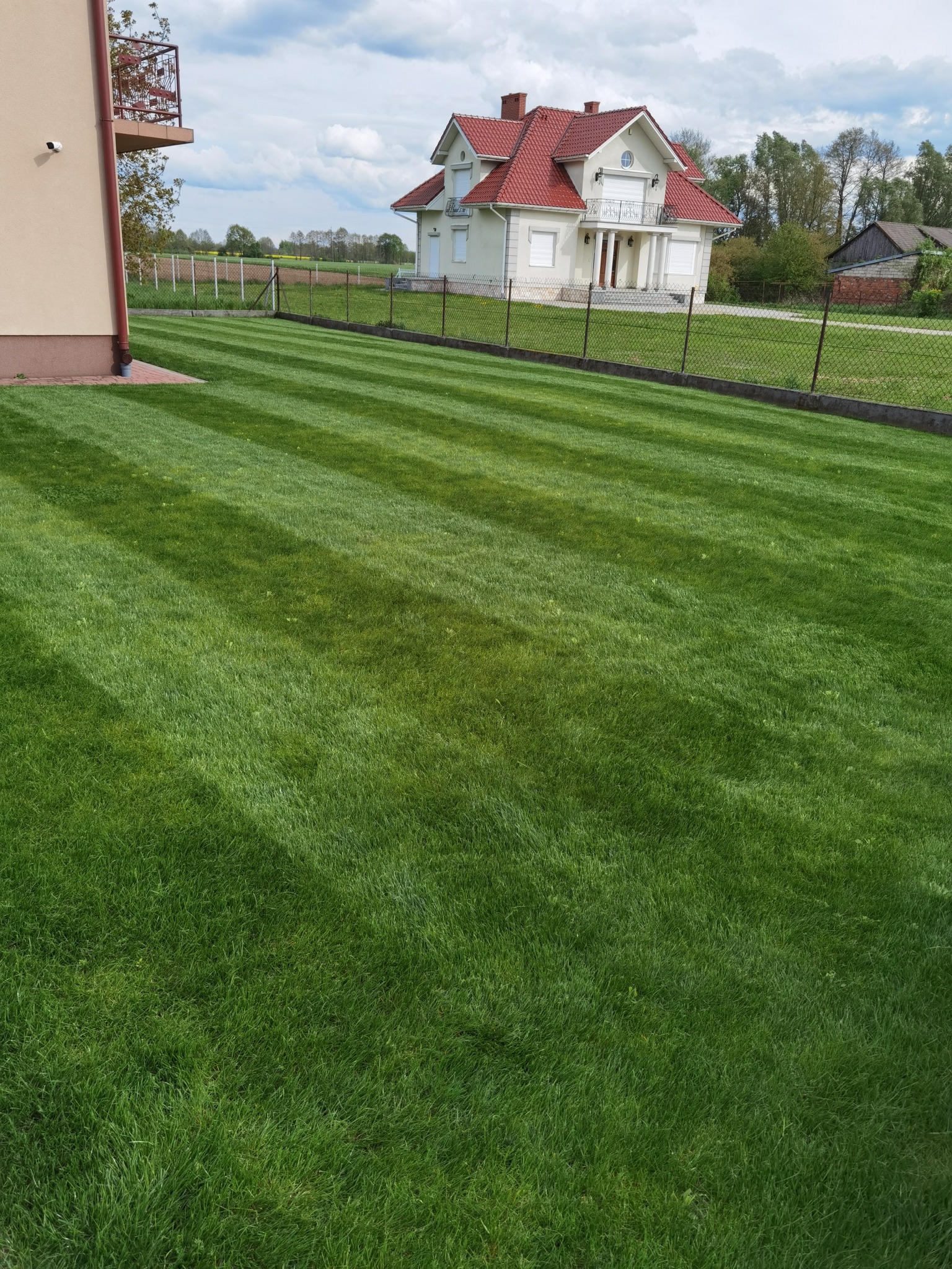 Perfekcyjnie przystrzyżony trawnik z wyraźnymi pasami, otoczony ogrodzeniem z siatki, z widokiem na duży dom z czerwonym dachem i balkonem.