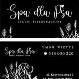 Czarno-biały projekt wizytówki dla spa dla psów, z ilustracją psa rasy Cavalier King Charles Spaniel, trzciny i ważki, zawierający dane kontaktowe i adres.