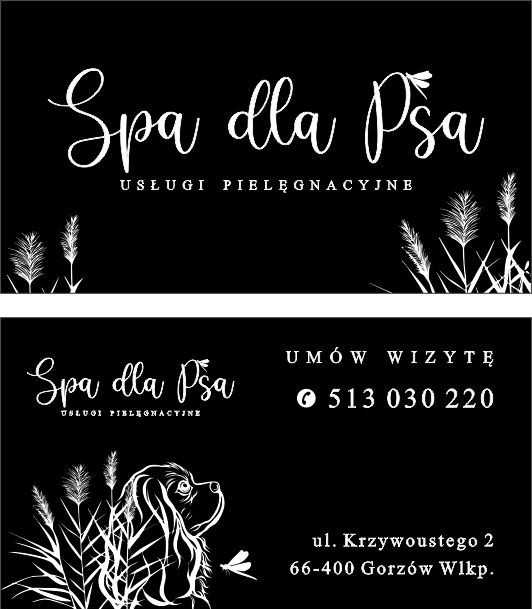 Czarno-biały projekt wizytówki dla spa dla psów, z ilustracją psa rasy Cavalier King Charles Spaniel, trzciny i ważki, zawierający dane kontaktowe i adres.
