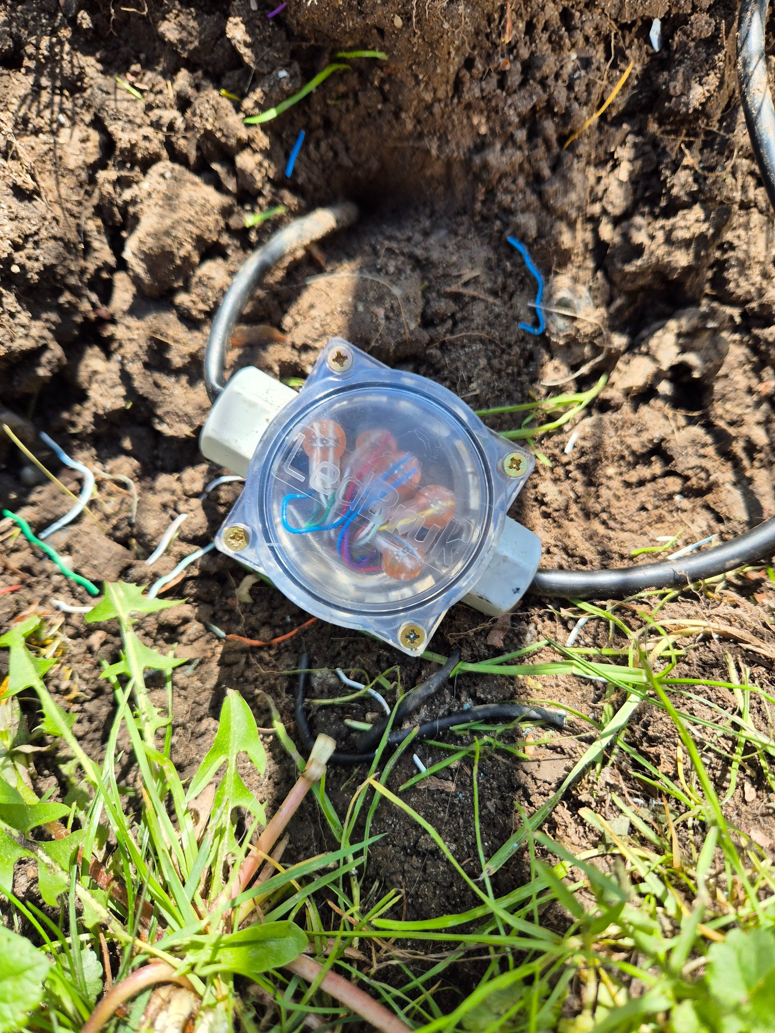 Podziemna puszka elektryczna z przezroczystą pokrywą, widoczne złącza WAGO, zakopana w ziemi z fragmentami trawy i korzeni, dwa kable wchodzące do puszki.