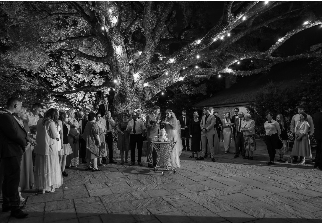 Czarno-białe zdjęcie pary młodej krojącej tort weselny na zewnątrz, otoczonej gośćmi pod rozświetlonym drzewem. W tle budynek.