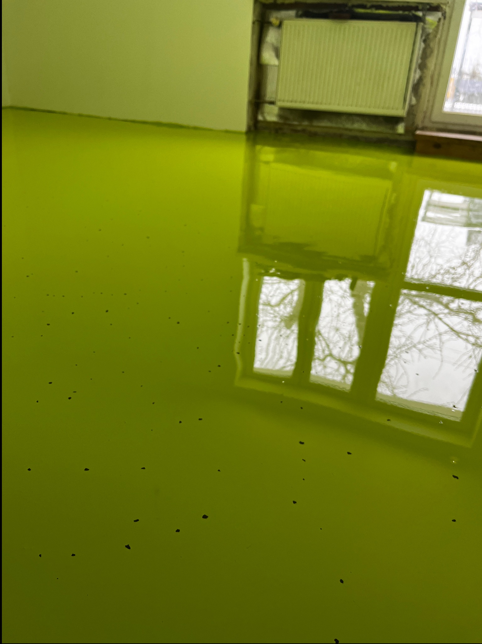 Świeżo wylana, błyszcząca, jasnozielona posadzka żywiczna z widocznymi drobnymi, ciemnymi inkluzjami; odbicie okna z drzewem w powierzchni podłogi.