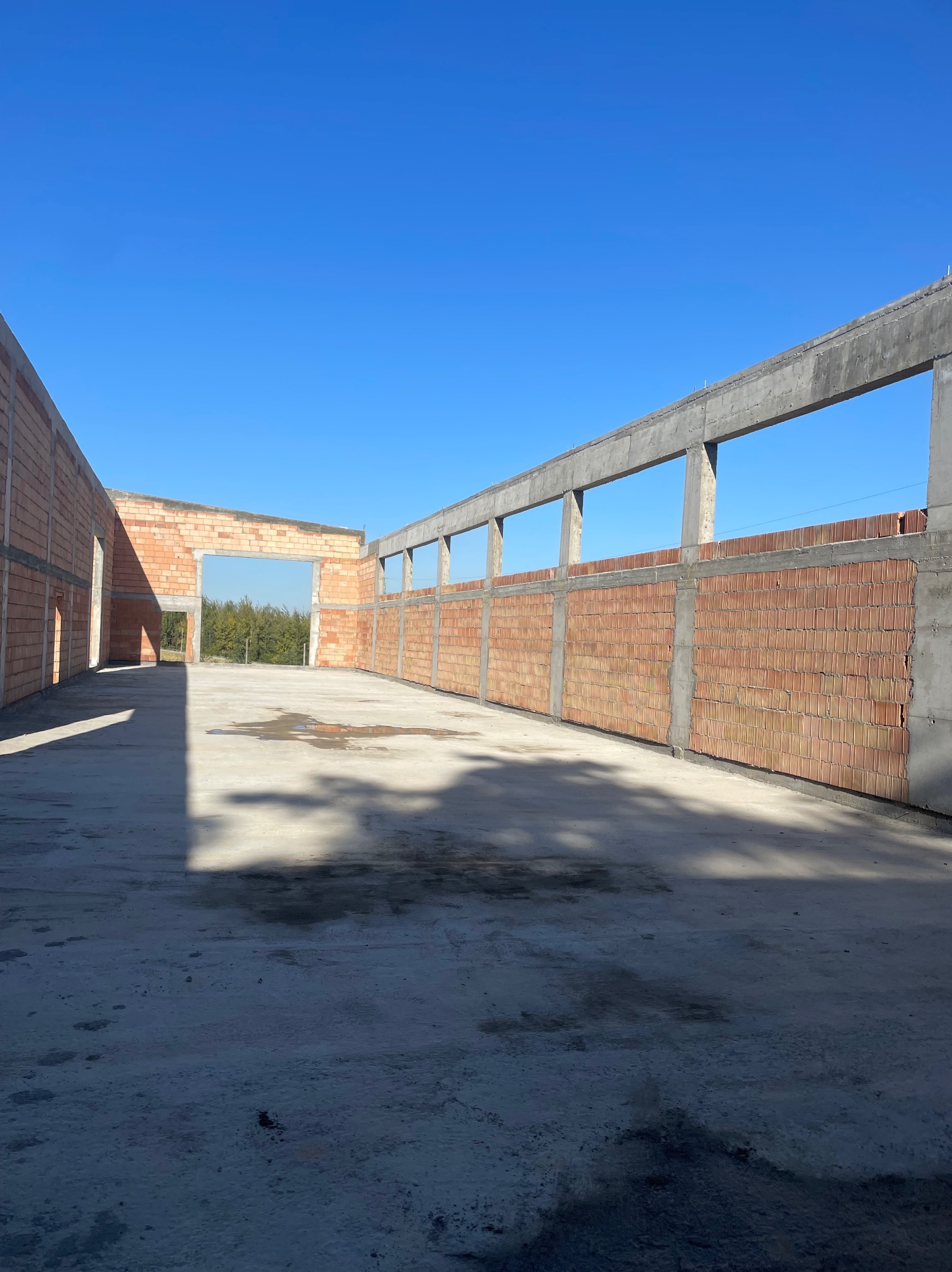 Wnętrze budynku w stanie surowym otwartym z ceglanymi ścianami i betonowymi słupami w słoneczny dzień.