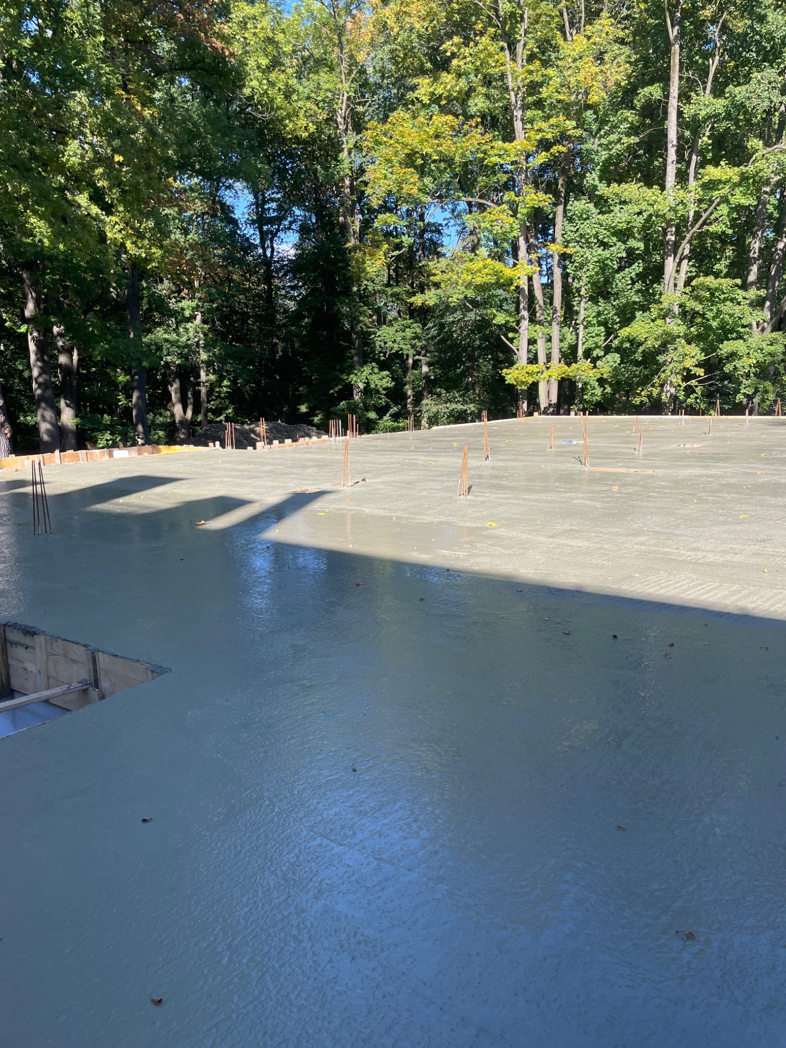 Wylana płyta fundamentowa z wystającymi prętami zbrojeniowymi, otoczona drewnianym szalunkiem, w tle drzewa.