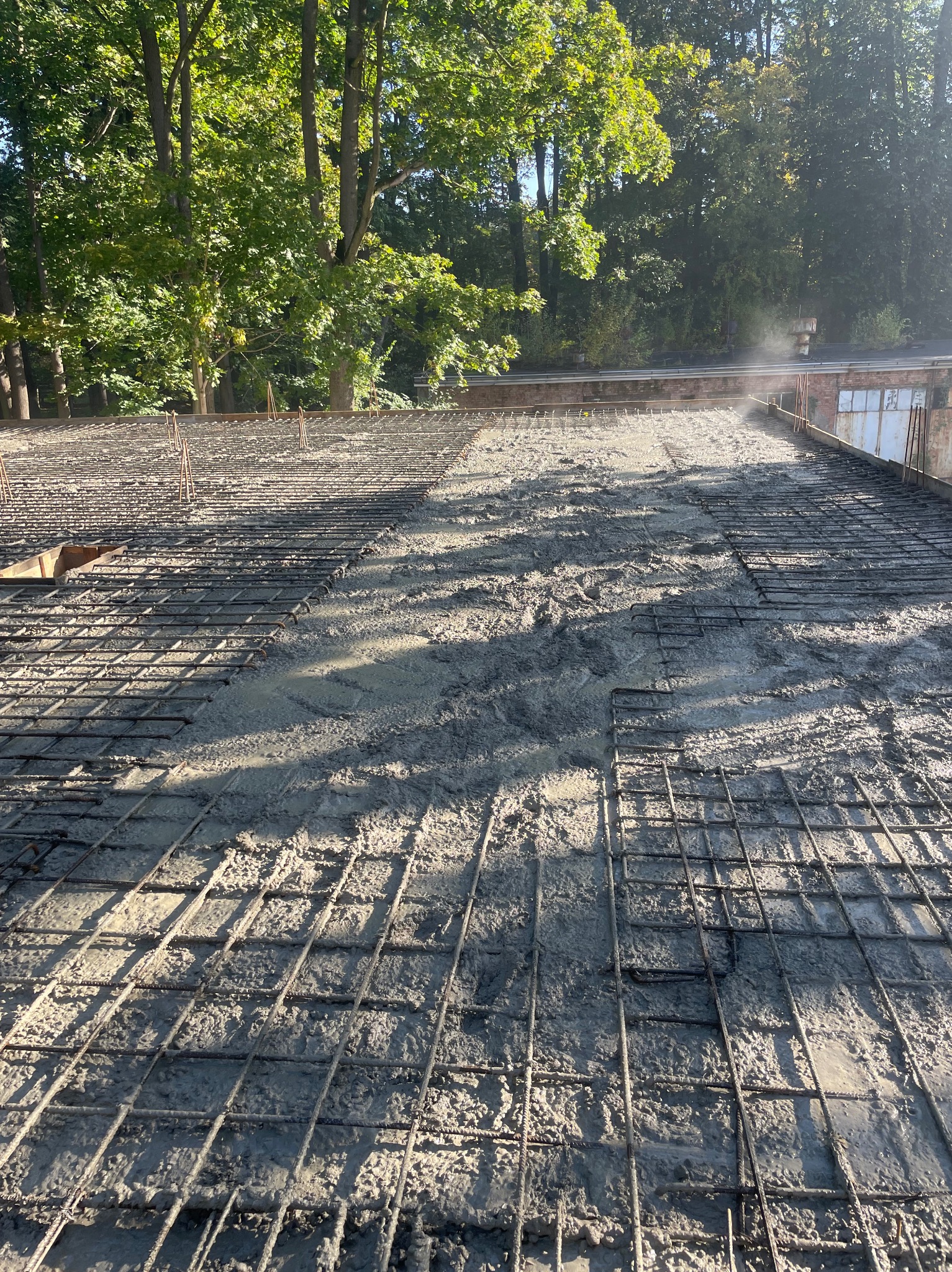 Zalewanie betonem zbrojenia na przygotowanym fundamencie pod budowę, widoczny szkielet z prętów stalowych i świeży beton w promieniach słonecznych, w tle zieleń drzew.