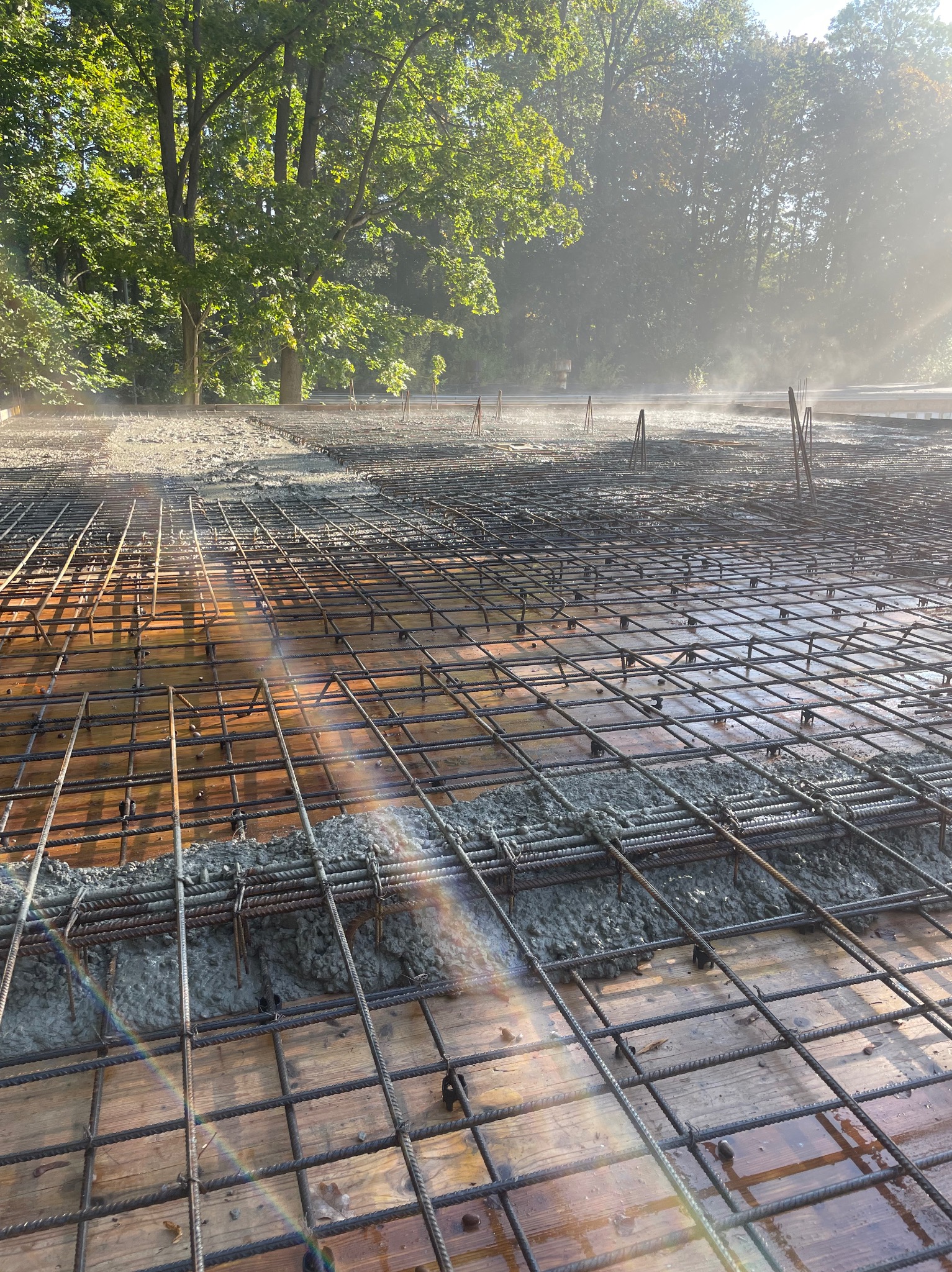 Zbrojenie fundamentu z częściowo wylanym betonem, widoczne stalowe pręty i drewniane szalunki, w tle zieleń drzew w porannym słońcu.