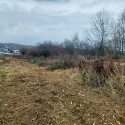 Teren po wycince drzew i krzewów, widoczne pozostałości gałęzi i pni, w tle zabudowania miejskie pod pochmurnym niebem.