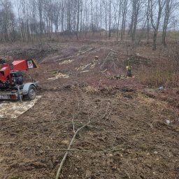 Damian Kaczmarczyk - Teren po wycince drzew, z widocznym rębakiem na przyczepie i pociętymi gałęziami na ziemi. W tle rząd drzew bez liści i pochmurne niebo.