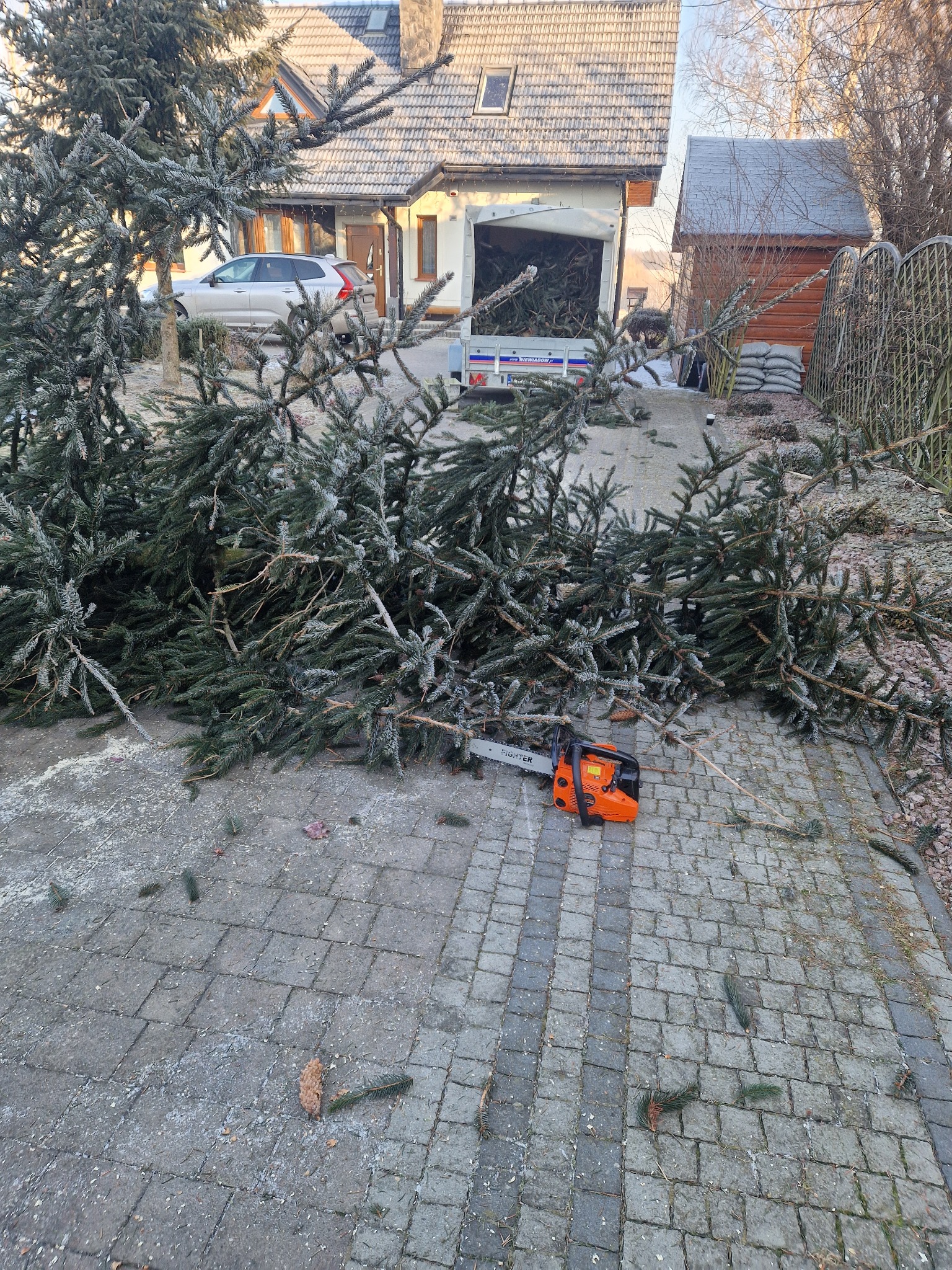 Ścięte gałęzie drzew iglastych leżące na kostce brukowej obok pomarańczowej pilarki spalinowej, w tle przyczepa z załadowanymi gałęziami i dom jednorodzinny.