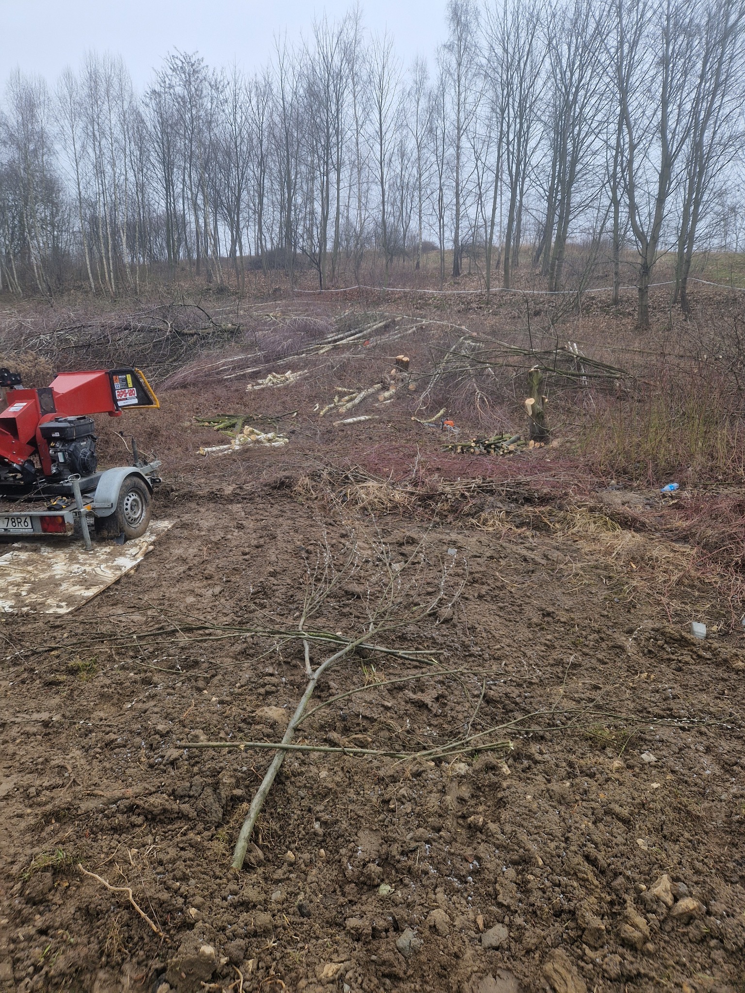 Teren po wycince drzew, z widocznym rębakiem na przyczepie i pociętymi gałęziami na ziemi. W tle rząd drzew bez liści i pochmurne niebo.