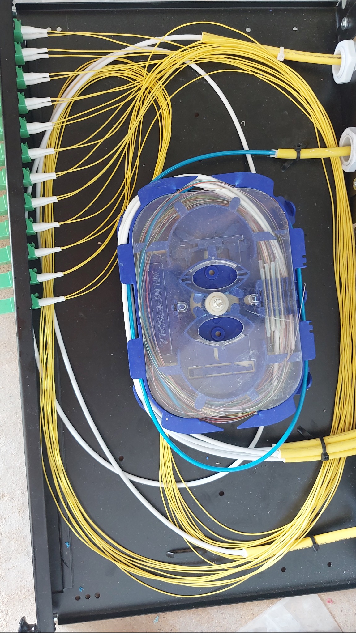 Rozdzielnica światłowodowa z żółtymi i białymi kablami światłowodowymi, z widocznym splajsem światłowodowym AFL Hyperscale w niebieskiej obudowie.