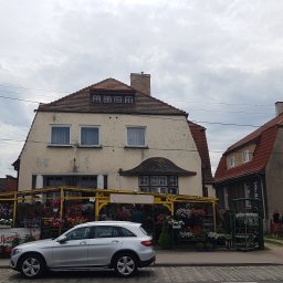 Roof 66 Łukasz Trzpiot - Dwa budynki mieszkalne z czerwonymi dachami, widoczne z ulicy wyłożonej kostką brukową. Przy jednym z budynków, pod żółtą konstrukcją, znajduje się kwiaciarnia z licznymi kwiatami. Na pierwszym...