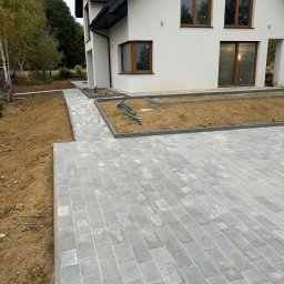 Wycinka drzew Linia 1