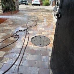 Wycinka drzew Linia 2