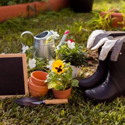 Poter Nieruchomości sp. z o.o - Akcesoria ogrodnicze na trawie: doniczki, łopatka, konewka, tablica, kwiaty i kalosze z rękawicami. Przygotowanie do prac w ogrodzie.