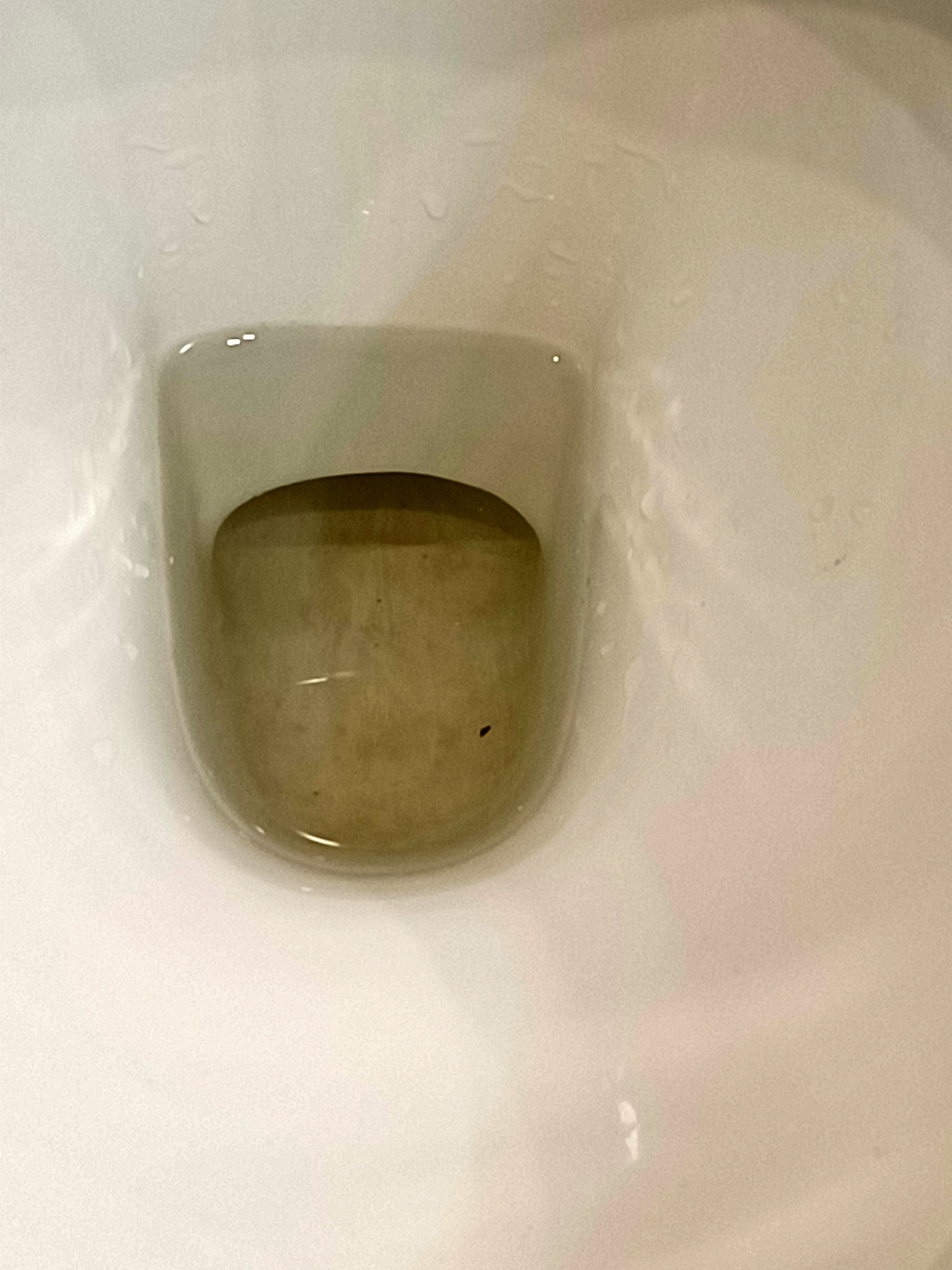 Widok z góry na wnętrze muszli klozetowej z brudną wodą.