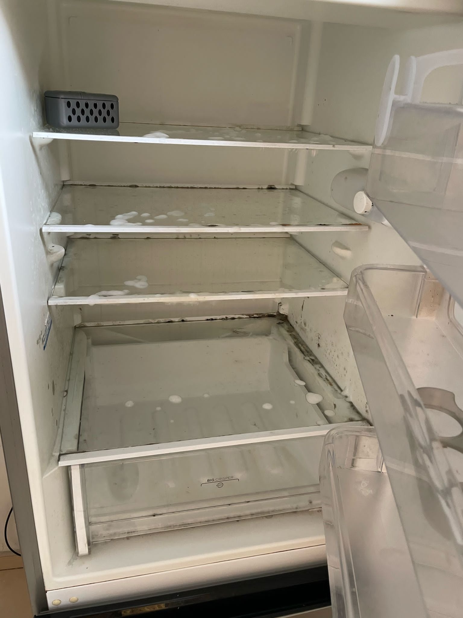 Wnętrze brudnej lodówki z widocznymi plamami i resztkami jedzenia na półkach, ślady czyszczenia z pianą, przed czyszczeniem.