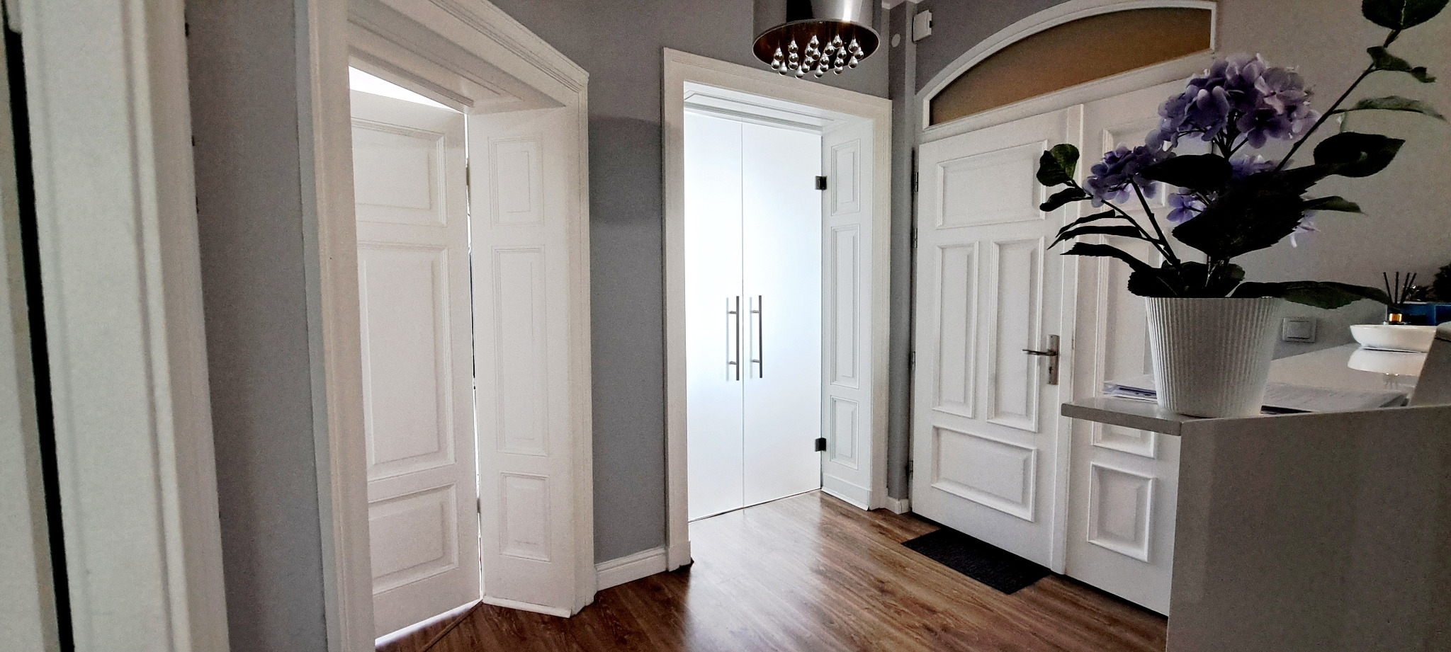 Wnętrze z białymi, klasycznymi drzwiami wewnętrznymi, podłogą imitującą drewno oraz dekoracyjną lampą sufitową i hortensją w doniczce.