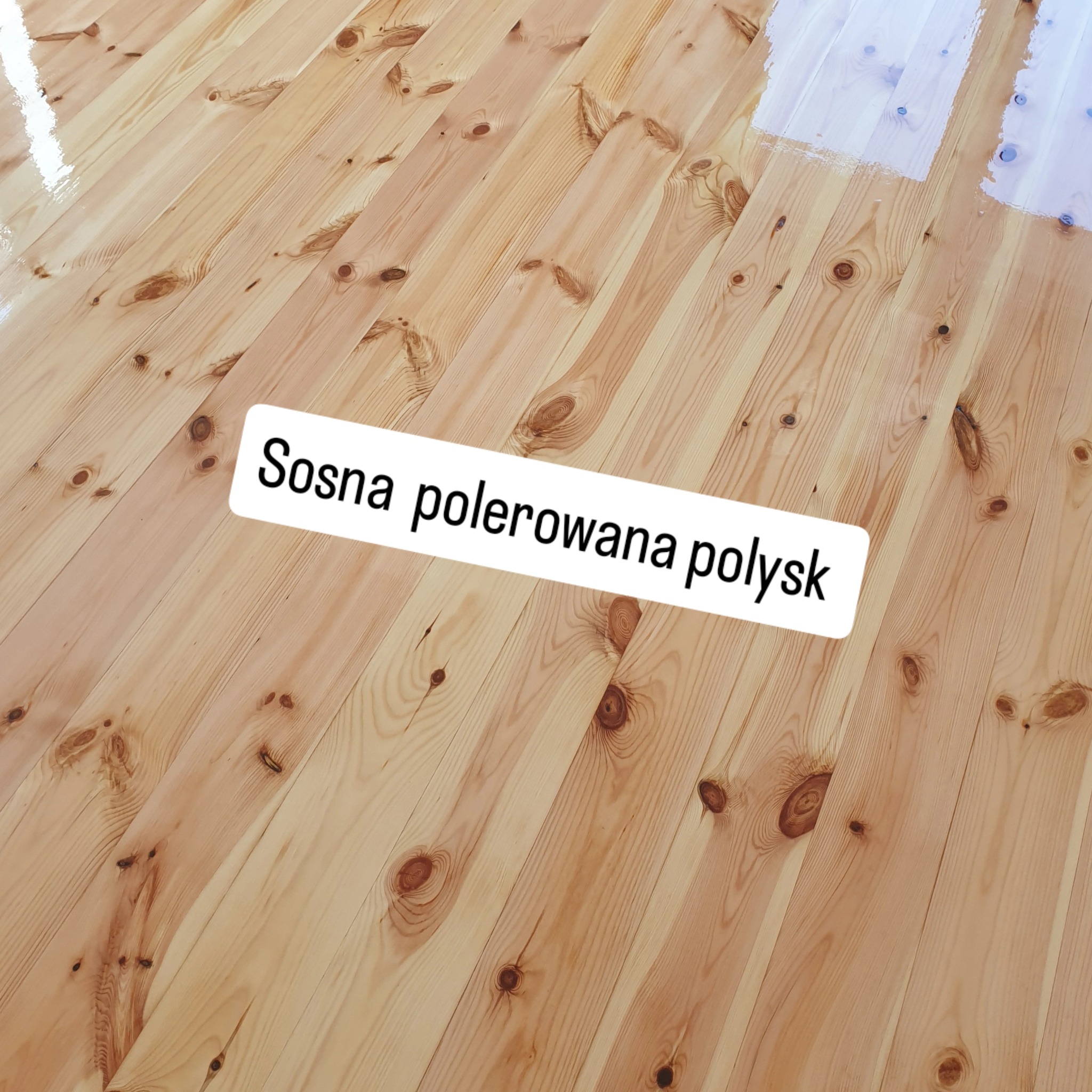 Polerowana sosnowa podłoga z połyskiem. Widoczne naturalne usłojenie drewna. Fragment podłogi świeżo polakierowany, z wyraźnym refleksem świetlnym.