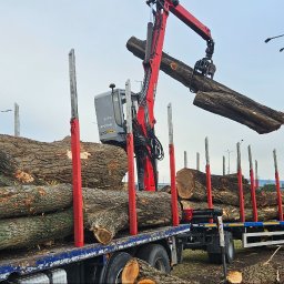 Wycinka drzew Warszawa 2