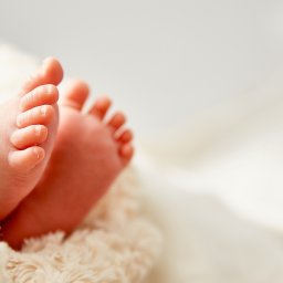 Fotograf ślubny Mieszkowice 2